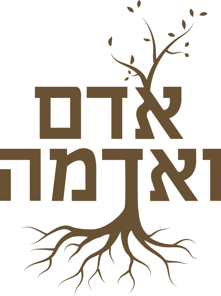 ארגון 9